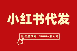 小红书种草代发，快手抖音代发业务 （欢迎商家放单）